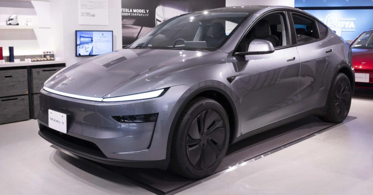 Model Y