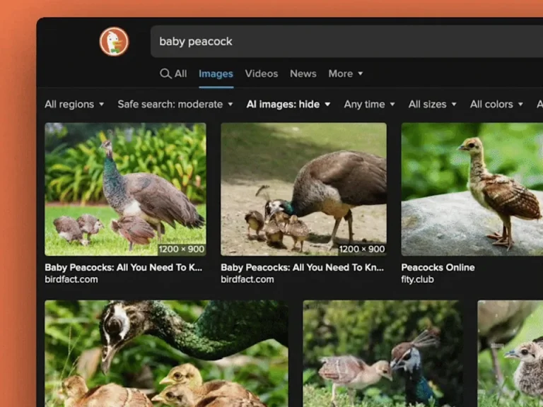 DuckDuckGo