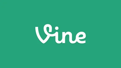 Vine archive