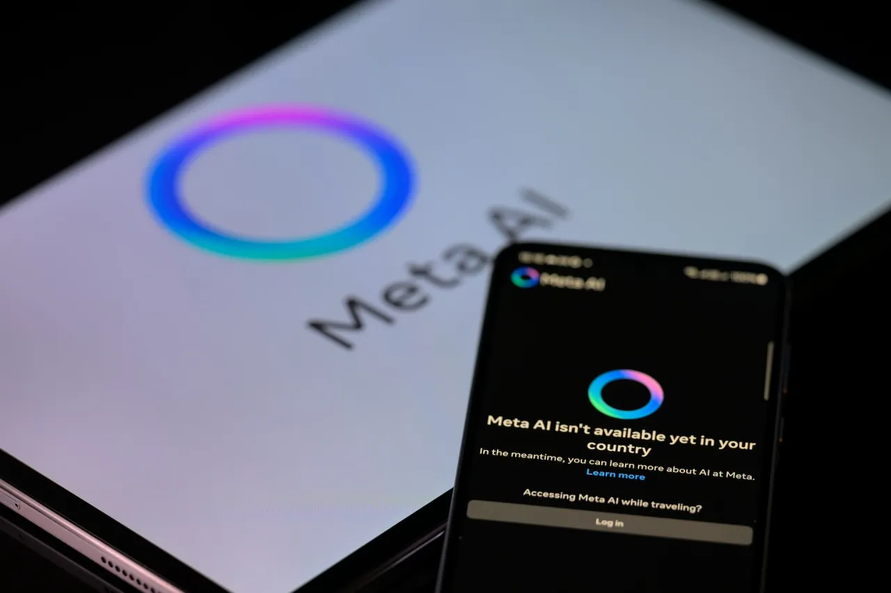 Meta Workforce