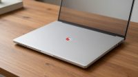 Snapdragon C